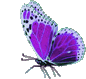 Business Logo: Purple Butterfly